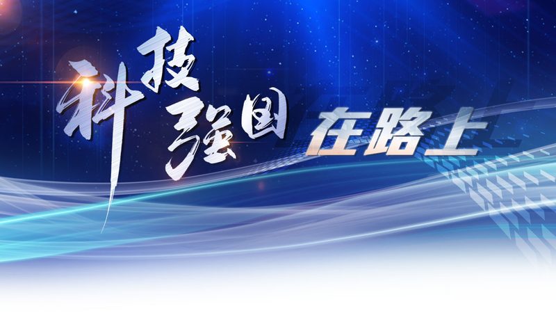 信息化建设项目管理流程：揭秘高效实施的秘诀