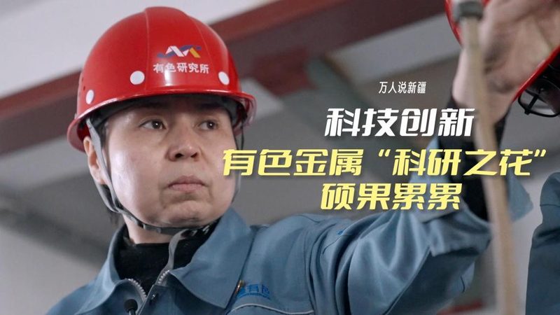 政府数字化解决方案采购规范：合规采购，助力智慧政府建设**